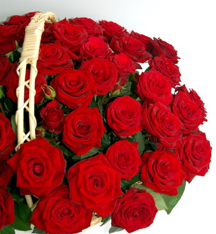 Excellent flowers basket of 50 red roses - Lillepidu